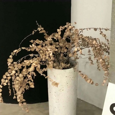 Furry插画构图解析干货福瑞群